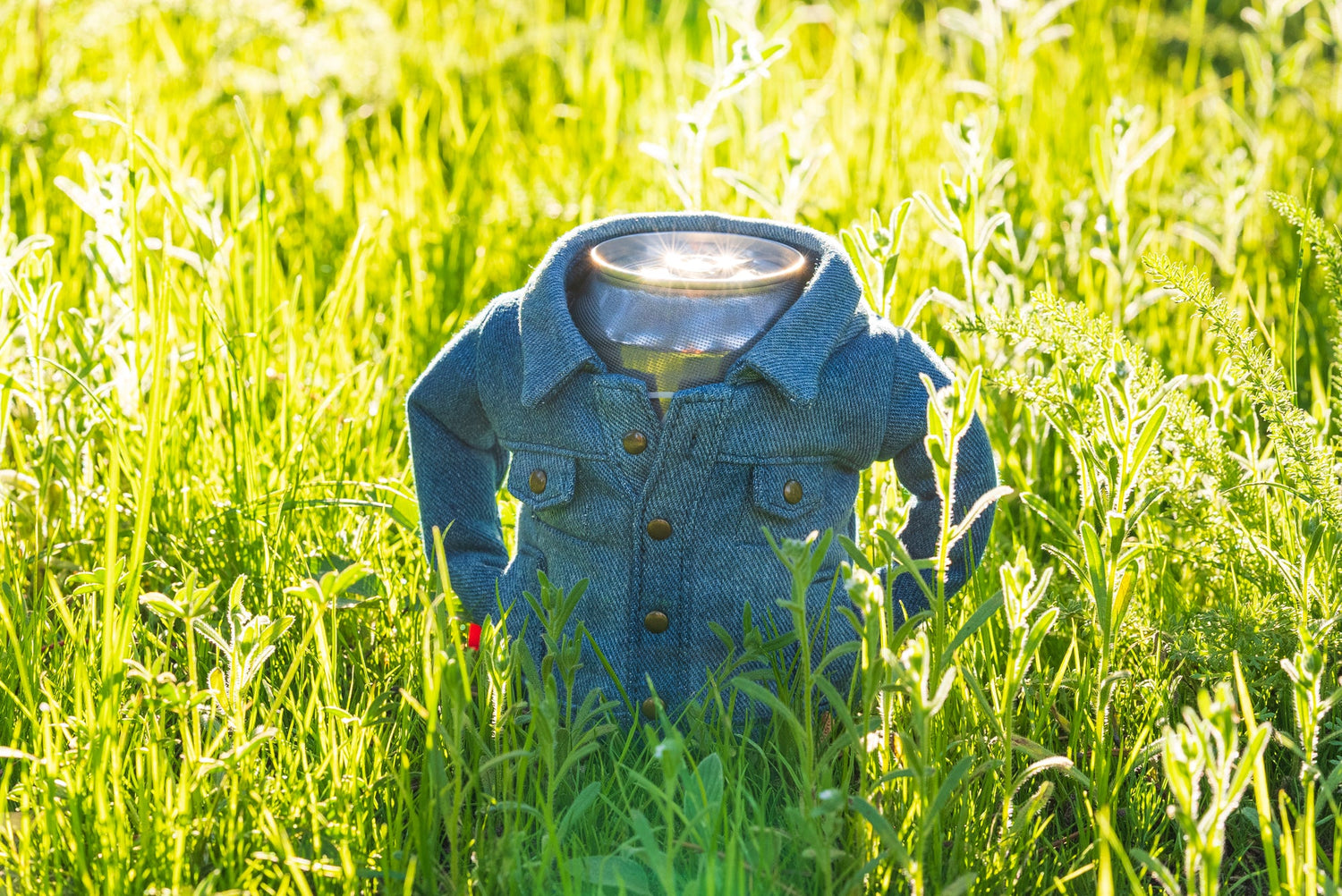 Beer Can In Denim Jacket On the Grass